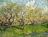 Orchard Paintings - Orchard in Blossom 4 by Vincent van Gogh